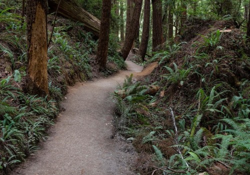 The Impact of Franklin County, WA's History on Environmental Conservation Efforts