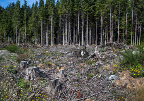 The Impact of Climate Change on Environmental Conservation in Franklin County, WA