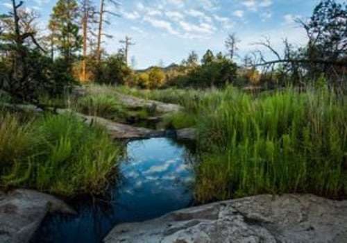 Preserving the Natural Beauty of Franklin County, WA: An Expert's Perspective