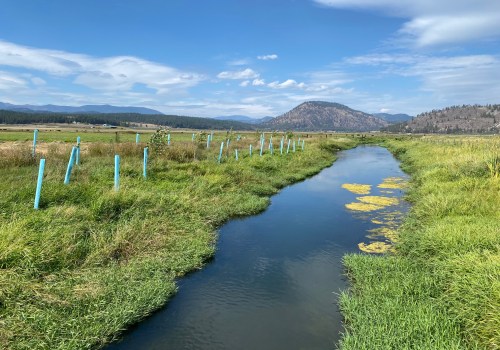 The Community Effort for Environmental Conservation in Franklin County, WA