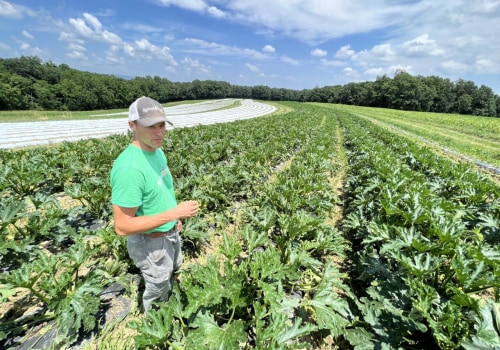 Environmental Conservation in Franklin County, WA: Impact of Agriculture and Mitigation Efforts